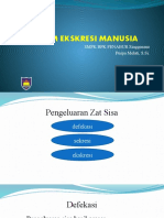 Sistem Ekskresi Manusia