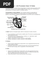 Class 10 Life Process Mind Map and Notes | PDF | Social Science ...