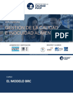 BRC PPT Sesión 4