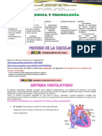 Sistema Circulatorio CYT