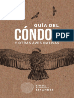 Guia Condor Vfinal DIGITAL