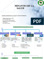 Determinantes de La Salud