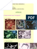 Produção de Alunos - Bacterias e Protozoarios7ºf