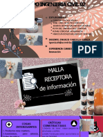 Malla Receptora de Informacion - Grupo Ing. Civil 02