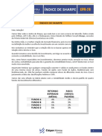Indice Sharpe PDF Cpa20