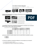 Guía de Apoyo Vertebrados e Invertebrados