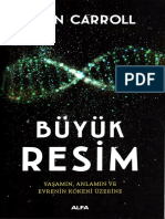 Sean Carroll - Büyük Resim