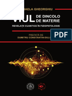 Viul de Dincolo de Materie - Ebook