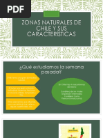 Características del Norte Chico de Chile | PDF | Andes | Geomorfología
