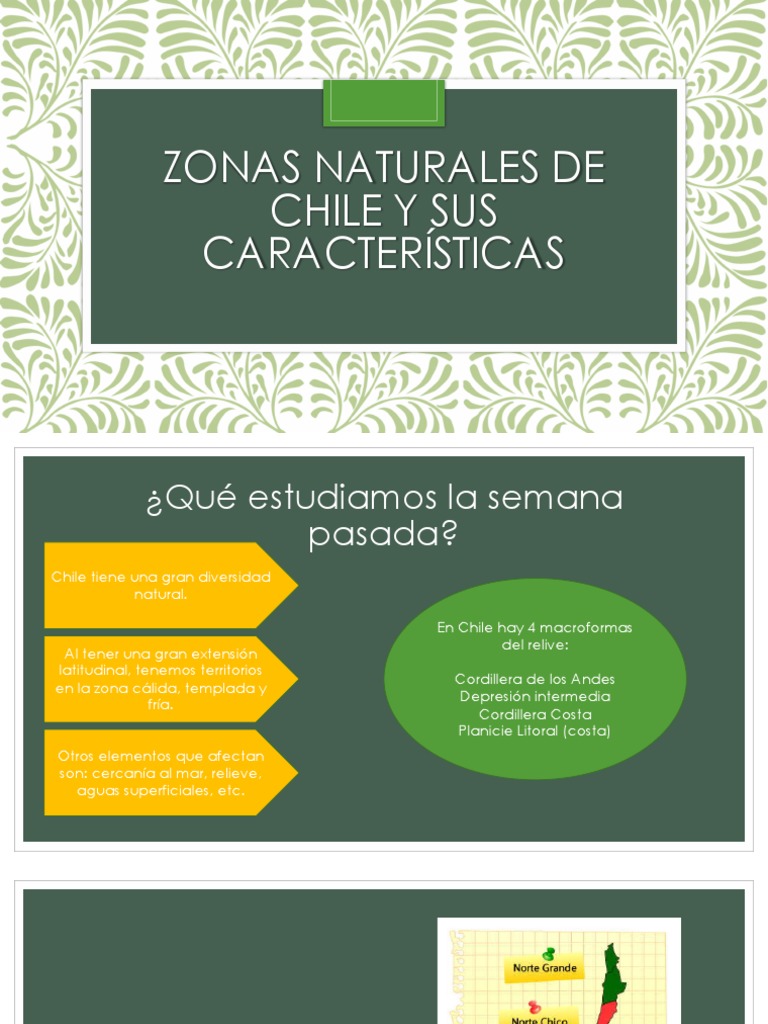 Características del Norte Grande de Chile | PDF | Andes | Chile