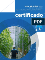 Guia de Apoyo A La Implementacion de Apl Certificado Azul