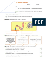 Sistema Nervioso El Estimulo