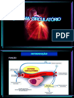 02sistema Circulatorio