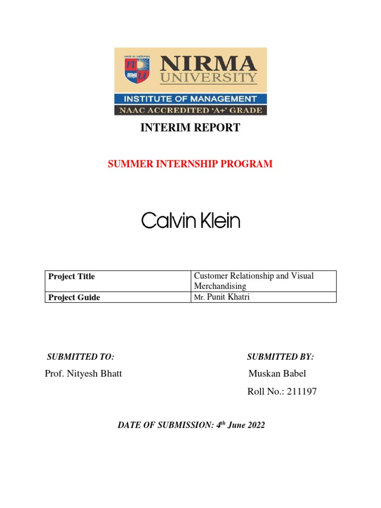 Interim Report: Summer Internship Program | PDF | Retail | Economies