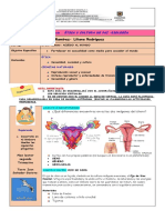 Guía Conjunta Octavo Biologia-Etica Ii Trimestre