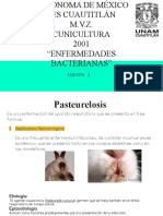 Enfermedades Bacterianas