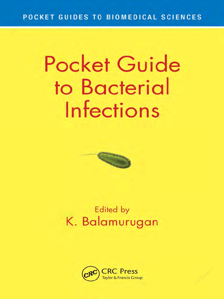 Bacterial Infections | PDF | Escherichia Coli | Foodborne Illness