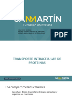 Transporte Intracelular de Proteinas FUSM