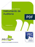 2 Formulario de Auditoria - Actualizacion 2012