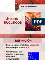 Bio. Ácidos Nucleicos I