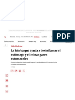 La Hierba Que Ayuda A Desinflamar El Estomago y Eliminar Gases e