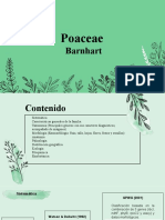 Familia Poaceae