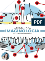 Apostila 2 Imaginologia - Versão Com Gabarito @thaistudandoodonto