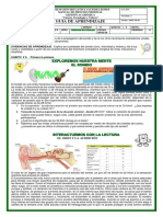 Propagación del sonido y la luz como fenómenos ondulatorios