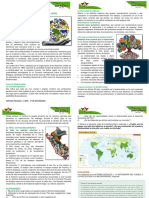 Tema 9 Biodiversidad