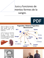 Estructura y funciones de los elementos formes de la sangre