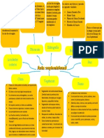 Mapa Conceptual Geografía