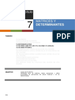 Determinantes