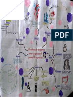 Mapa Mental Prevalencia de Insuficiencia Venosa