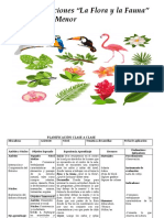 Planificación Medio Menor La Flora y La Fauna B.N.O