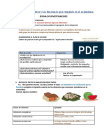 Conozco Los Alimentos y Las Funciones Que Cumplen en El Organismo