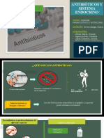 Antibioticos y Sistema Endocrino