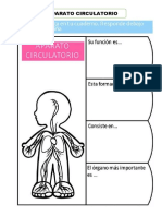 Fichas Sobre El Sistema Circulatorio