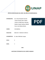 Criminalistica Anatomia Topografica Grupal