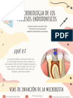Microbiologia de Los Procesos Endodonticos