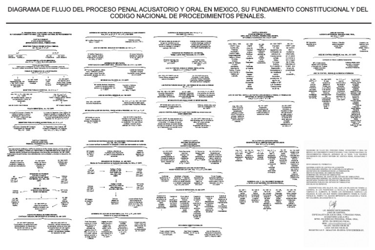 Diagrama Completo Flujo Proceso Penal | PDF