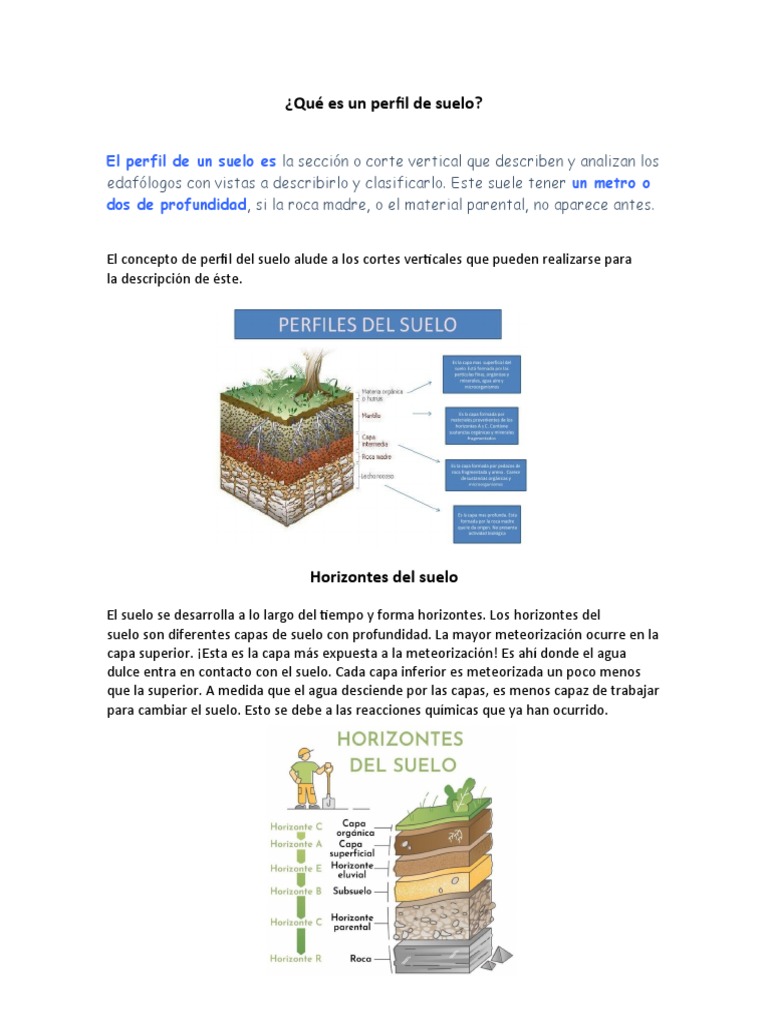 Tipos y características de horizontes del suelo | PDF | Suelo ...
