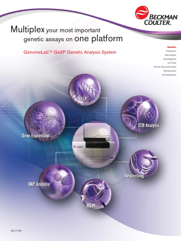 BC GenomeLab GeXP PDF Dna Sequencing Polymerase Chain Reaction