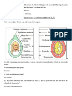 UFM Morfologia e Anatomia de Plantas Vasculares 2022