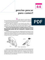 Telecurso 2000 Aula 44 - Eu Preciso Pescar Para Comer