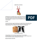 Mengenal Jantung