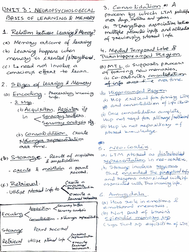 Neuropsychological Basis of Memory | PDF