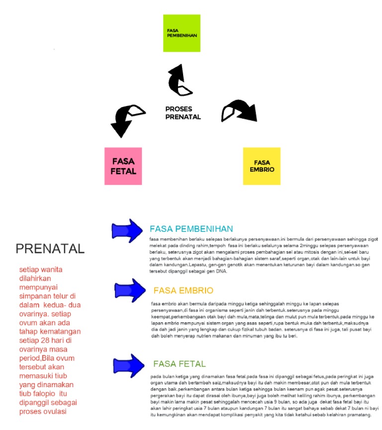 PRENATAL | PDF