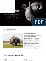 Rinocerontes: 5 especies mamíferos gigantes