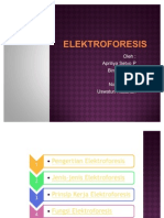 Elektroforesis