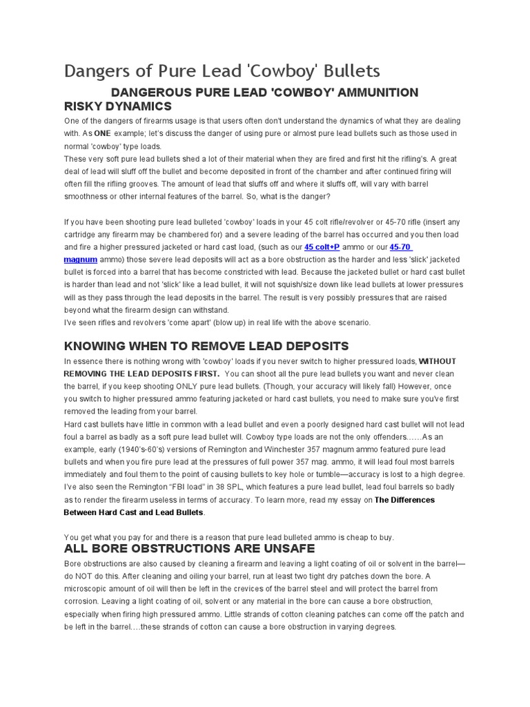 Dangers of Lead Bullets and Bore Obstructions PDF Gun Barrel Bullet